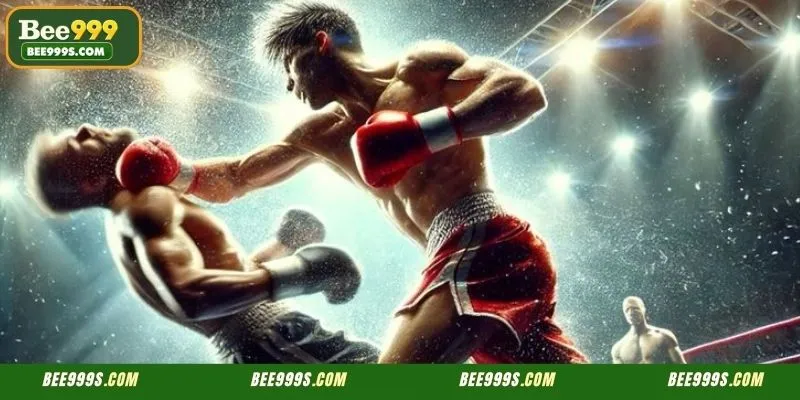 Expert members analyzing fighter statistics for successful BDT sports wagering