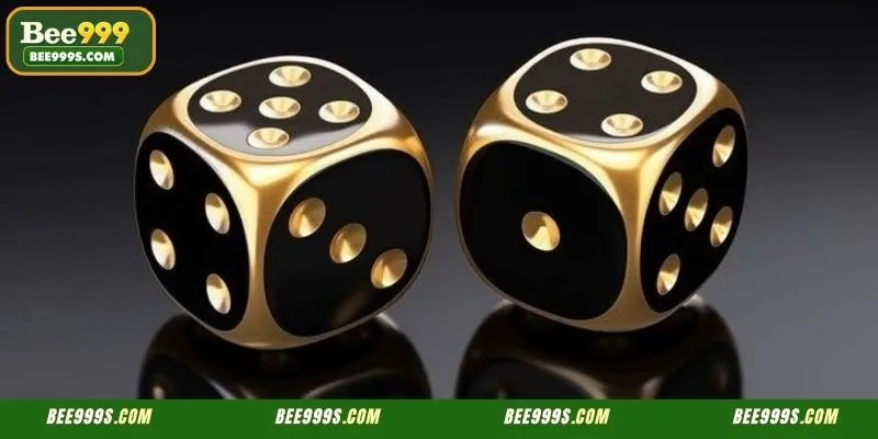 Members using professional bankroll management for their BDT gaming sessions