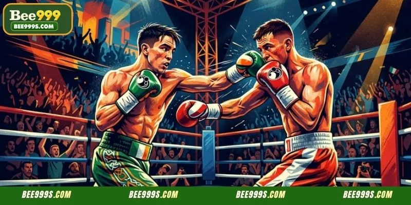 Professional interface for tracking live odds and BDT rewards in Boxing Betting